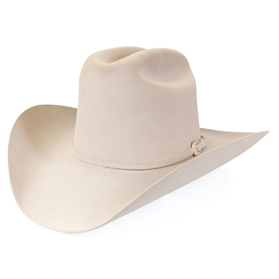 Stetson: Alcalas Western Wear 6X Silverbelly PALACIO hat with matching ...